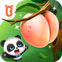 北京国安1:1战平上海申花，外援前锋再伤申花再受重创
